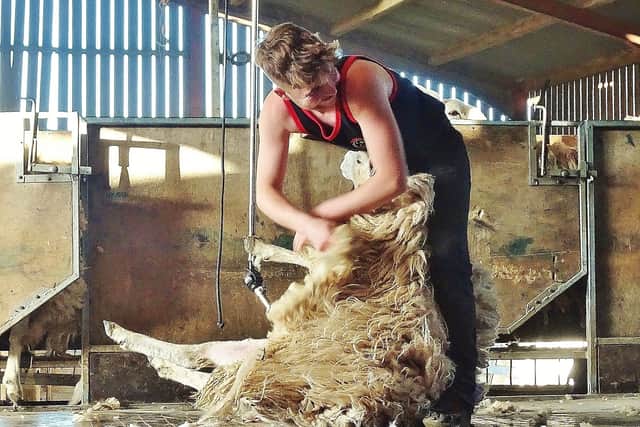 The Speed Shearing competition, held on the Sunday evening at Cefn Bronllys, was won by Joseph Hughes.