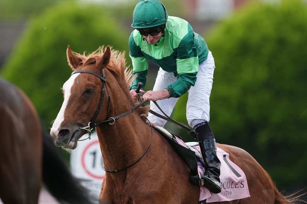 Benvenuto Cellini leads four-strong Aidan O’Brien team for Derby