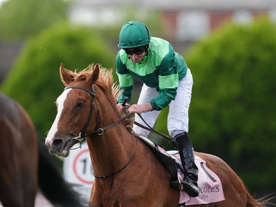 Benvenuto Cellini is the headline name in the Derby