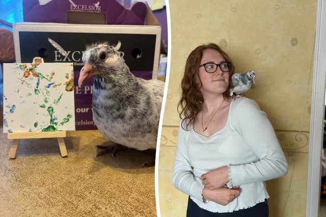 Sophie James, 21, has been surrounded by racing pigeons her entire life as her family raise them.