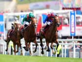 Jan Brueghel (right) and Calandagan fight out last year's Coronation Cup at Epsom
