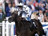 Ellusive Butterfly winning at Epsom