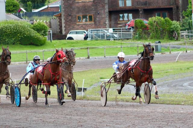 Beach Boy powered to victory at Amman Valley in the opening Baby Novice race Picture: Jacqui Bevan