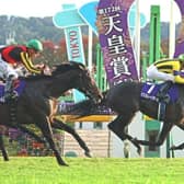 Masquerade Ball winning at Tokyo