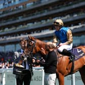 James McDonald was a winner in the Wathnan silks last year