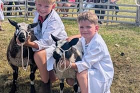 Some young showgoers from the 2025 Llanbadarn Fynydd Show