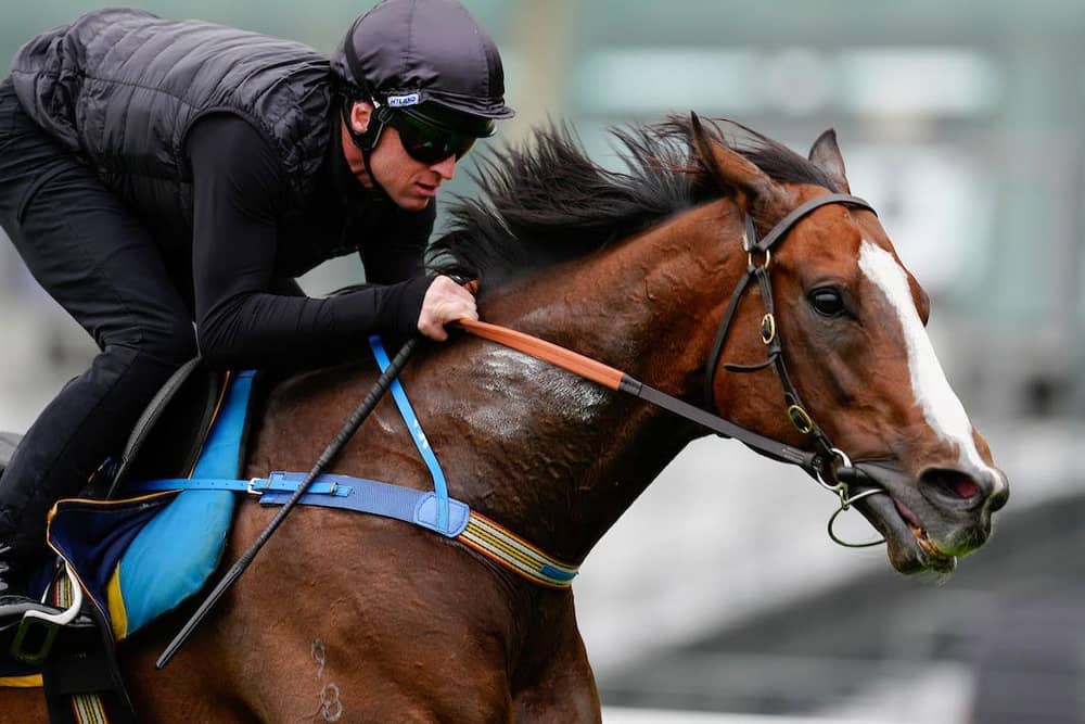 Overpass working at Ascot
