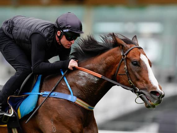 Overpass working at Ascot