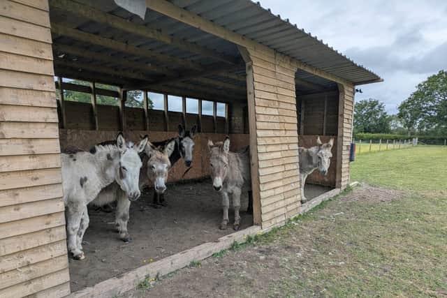 A donkey sanctuary located in the West Midlands makes for the perfect day out this summer.