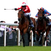 Rock of Gibraltar winning the St James's Palace Stakes