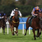 Diamond Necklace wins at Leopardstown