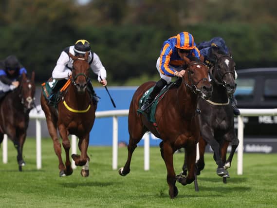 Diamond Necklace wins at Leopardstown
