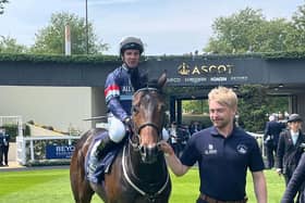 Ascot winner Night In Vegas
