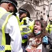 Police removing protesters from outside the Royal Courts of Justice