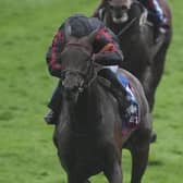 Maltese Cross in action at Epsom