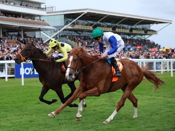 Lost Boys (right) will sport the Wathnan Racing colours at Royal Ascot