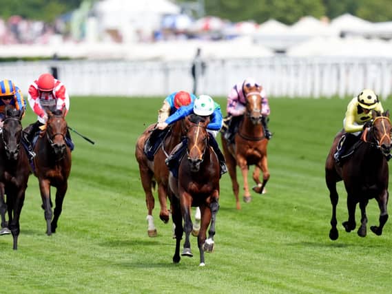 Rashabar has been retired and will seek a place at stud