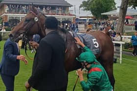 Daryz at York last summer
