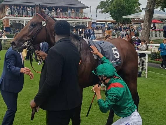 Daryz at York last summer