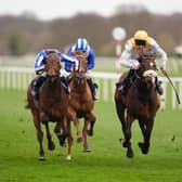 Arc Ole Ole (right) winning at Doncaster