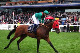 Daryz going to post at Royal Ascot