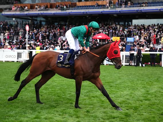 Daryz going to post at Royal Ascot