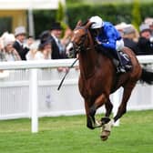Ombudsman winning the Prince of Wales's Stakes at Royal Ascot