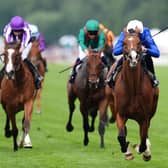 Ombudsman leaves some top-class rivals in his wake