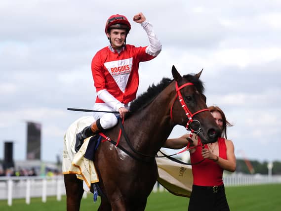 Jockey Harry Davies celebrates