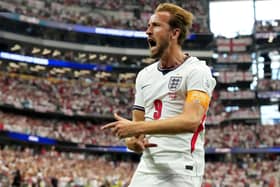 Harry Kane celebrates scoring