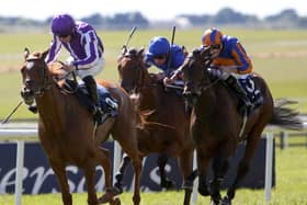 Precise (left) and True Love (right) in action at the Curragh