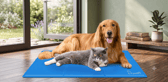 The extra-large Pecute mat gives dogs a spacious cooling surface for warmer days at home or while travelling