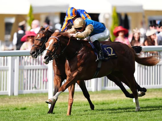 Lost Boys ridden by James McDonald wins the Golden Gates Stakes