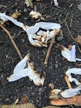 The charred remains of the fire at the Mere (Ellesmere Fire Station)