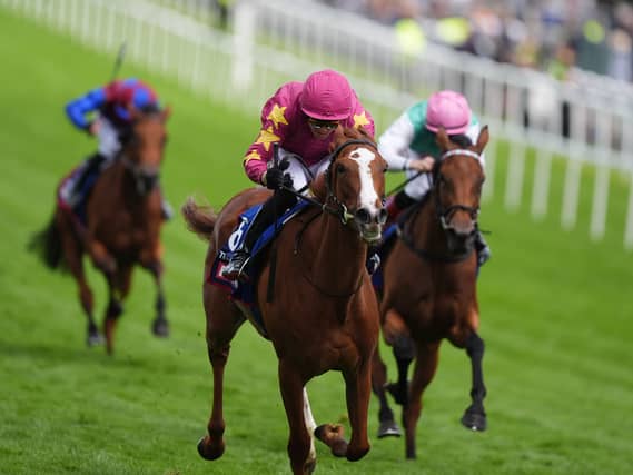 Thundering On could run in the Pretty Polly