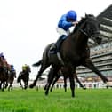 Rebel’s Romance is on course for Newmarket