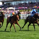 Spicy Marg (left) went down fighting at Ascot