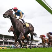 Valiancy could turn out quickly at Newcastle
