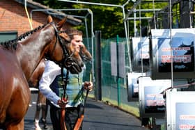 Horses are cooled down with misting fans