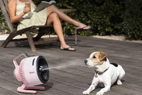 The Shark FlexBreeze offers cordless cooling, strong airflow and a misting feature for extra relief on hot days - and it's made the heatwave easier to cope with.