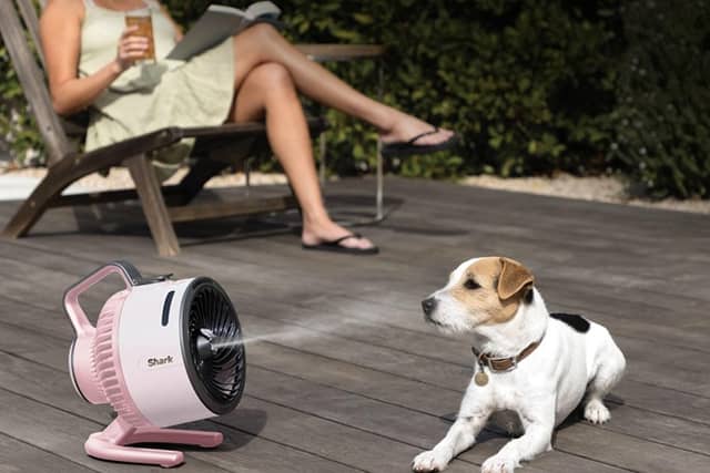 The Shark FlexBreeze offers cordless cooling, strong airflow and a misting feature for extra relief on hot days - and it's made the heatwave easier to cope with.