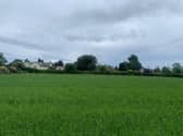 An outline planning application has been submitted for 10 new homes in a field in Harmer Hill, near Wem