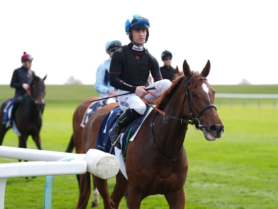 Venetian Lace at Newmarket