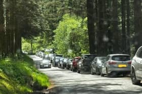 Natural Resources Wales has submitted plans to improve parking and visitor facilities at Hafren Forest, near Llanidloes. 
