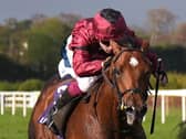 A Boy Named Susie in action at Leopardstown