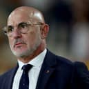 Spain coach Luis de la Fuente