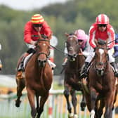 Circus Of Rome (left) in action at Haydock