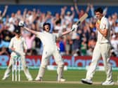 Ben Stokes roars in celebration after his match-winning 135 not out in the 2019 Ashes Test at Headingley