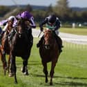 Zavateri, right, and Charles Bishop win at the Curragh