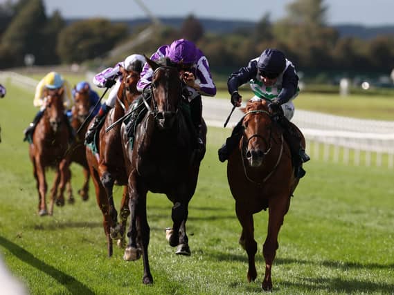 Zavateri, right, and Charles Bishop win at the Curragh